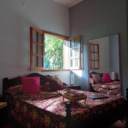 Bed and Breakfast Divin'Art à Ribeira Grande Extérieur photo