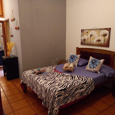 Bed and Breakfast Divin'Art à Ribeira Grande Extérieur photo